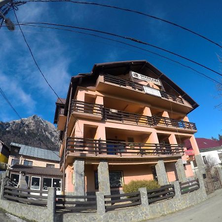 Pensiunea N.A.M Buşteni Exteriér fotografie