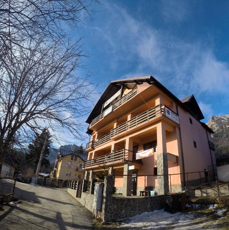 Pensiunea N.A.M Buşteni Exteriér fotografie