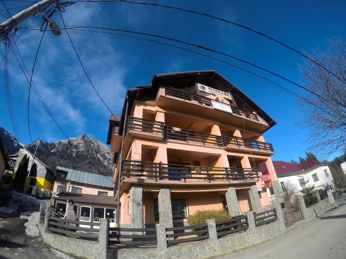 Pensiunea N.A.M Buşteni Exteriér fotografie