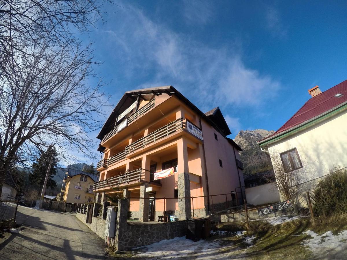Pensiunea N.A.M Buşteni Exteriér fotografie
